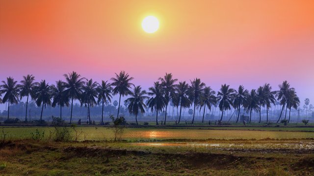 Andhra Pradesh