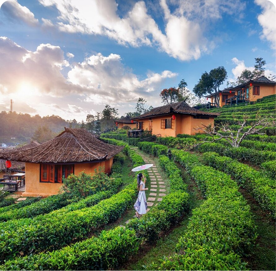 Unveiling the Best Beach Destinations